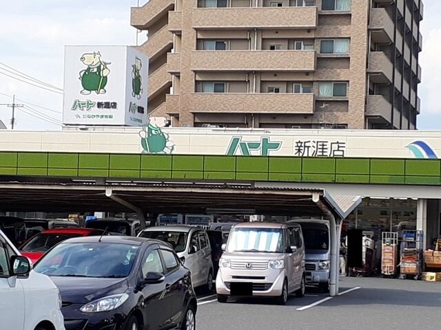 東福山駅 徒歩67分 1階の物件外観写真