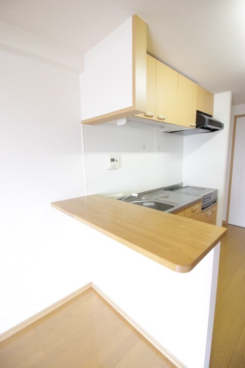 鴨池駅 徒歩20分 1階の物件内観写真