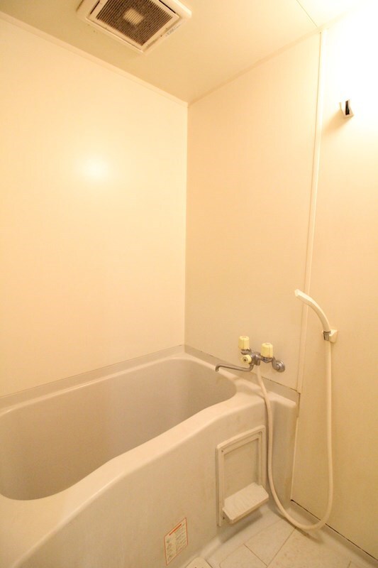 摩天楼中洲の物件内観写真