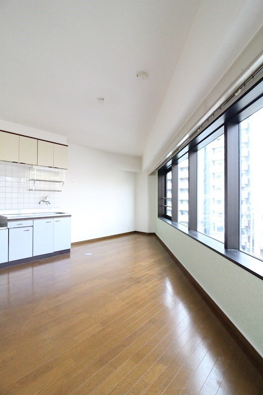 摩天楼中洲の物件内観写真