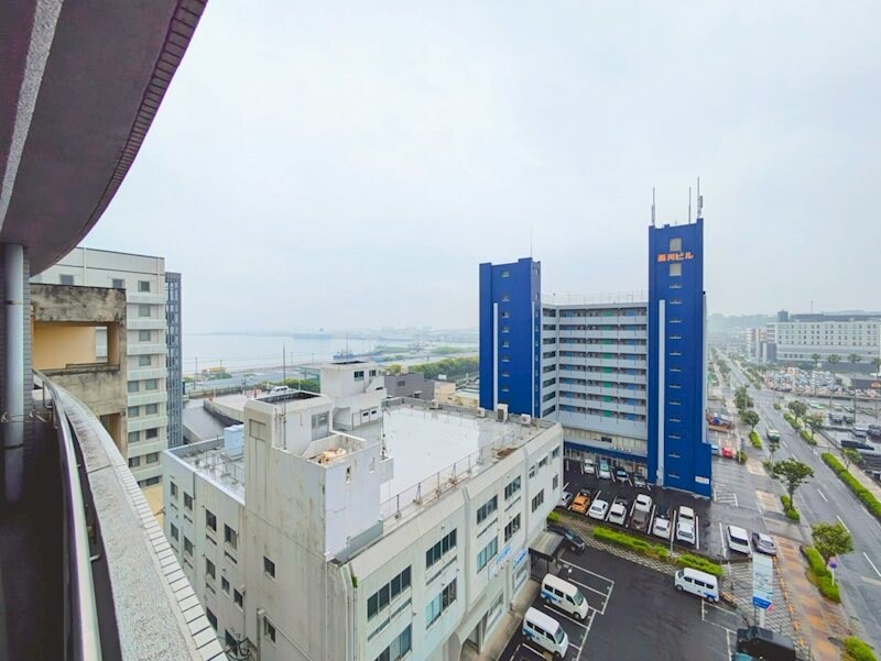 慈眼寺駅 徒歩27分 10階の物件内観写真