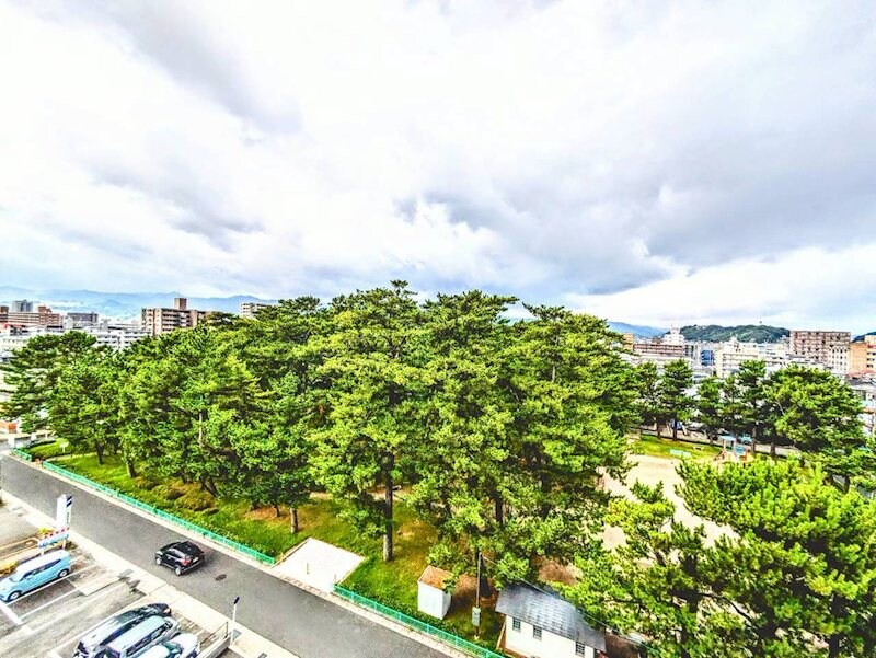 谷山駅 徒歩7分 7階の物件内観写真