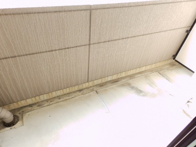 プチ・カーサの物件内観写真