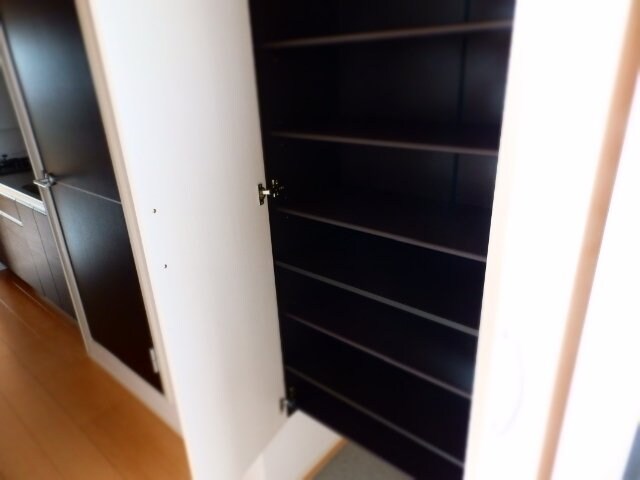 サクラーレ和泉の物件内観写真