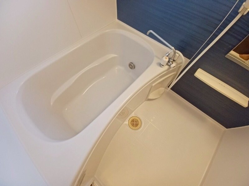 フォレスト　ハナミズキＡの物件内観写真