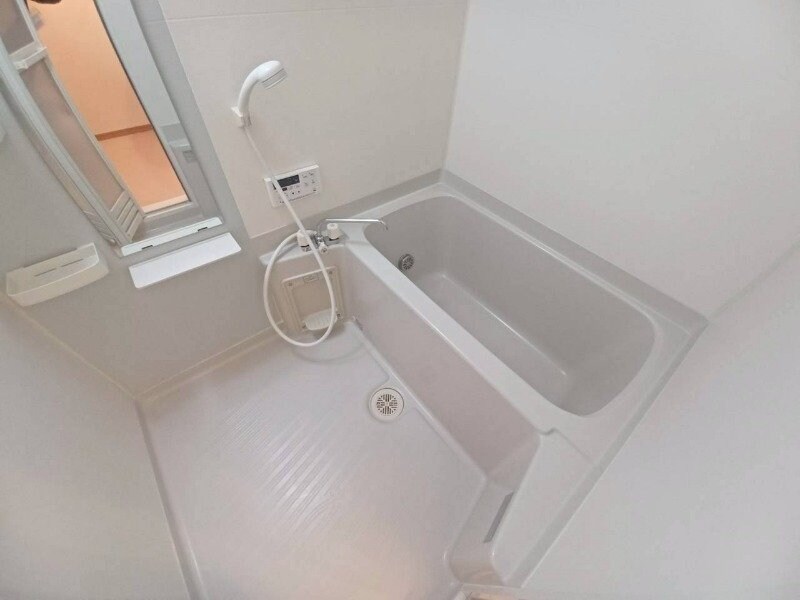 ステラ・Ｋ　Ⅱの物件内観写真