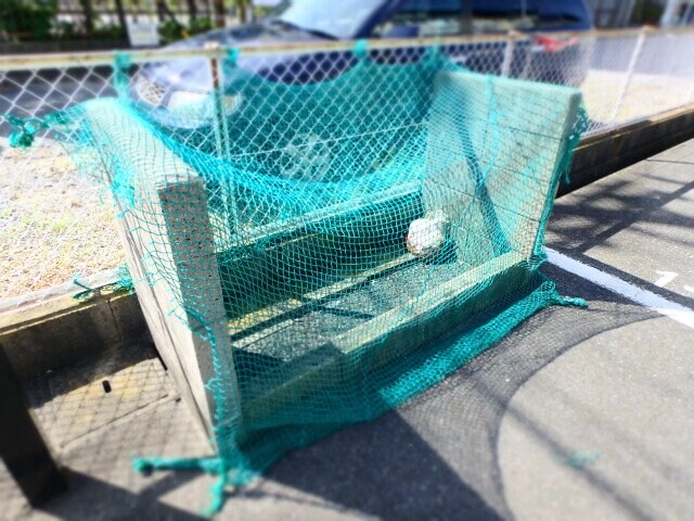 シティーハイツキャッスルA棟の物件外観写真