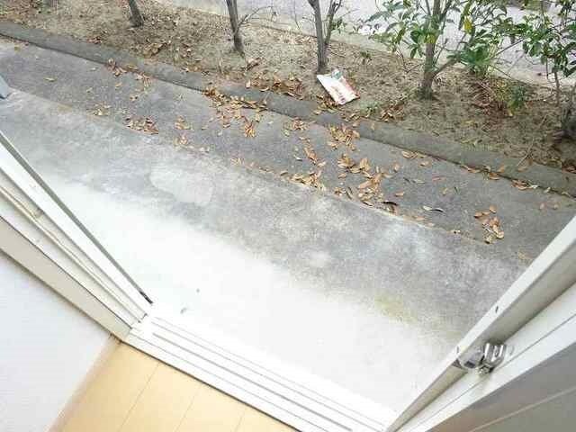 ドルフィン№１の物件内観写真