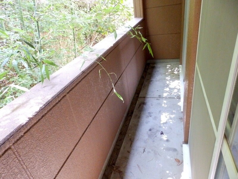 コーポパーシモンⅡの物件内観写真