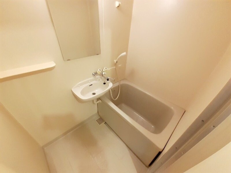 シティハイツフォレストの物件内観写真