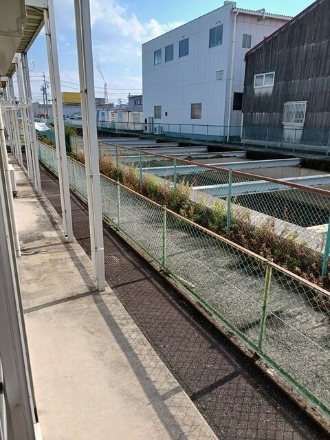 シティハイツ新正Ｂの物件内観写真