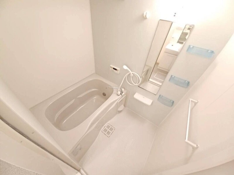 フォルシュ　ハイム　Ａの物件内観写真