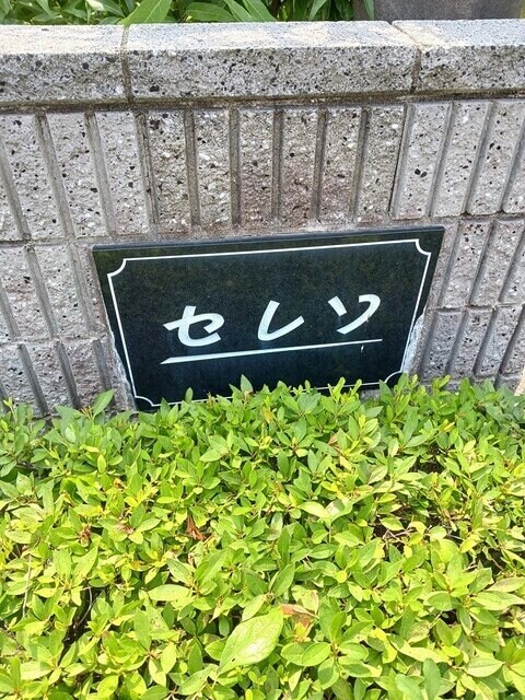 セレソ　Ｂ棟の物件外観写真
