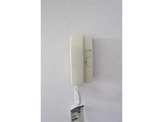 ダルウィニーの物件内観写真