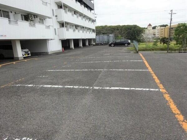 芸大通駅 徒歩18分 5階の物件外観写真