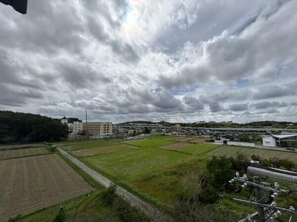 芸大通駅 徒歩18分 3階の物件内観写真