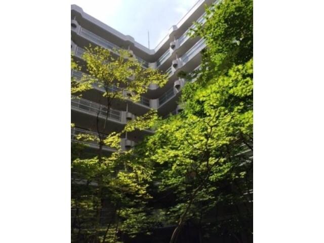 一社駅 徒歩3分 5階の物件外観写真