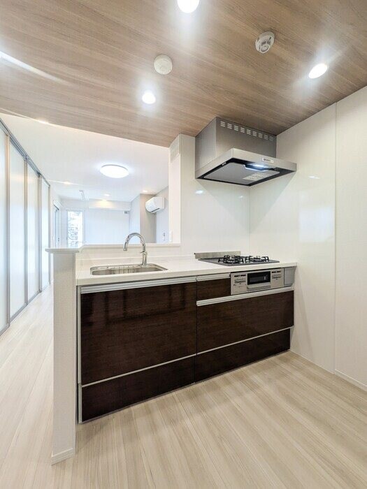 セレスティア六町IIの物件内観写真