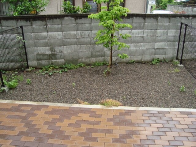 シャーロット・Ⅱの物件内観写真