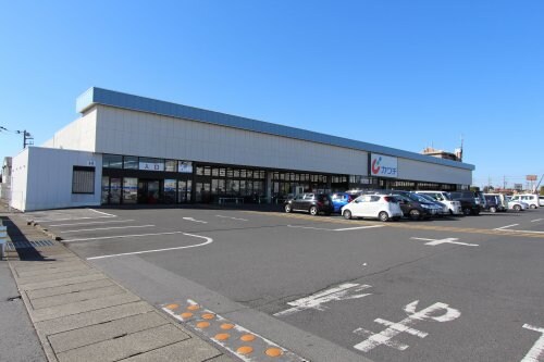 グリーンハーブの物件内観写真