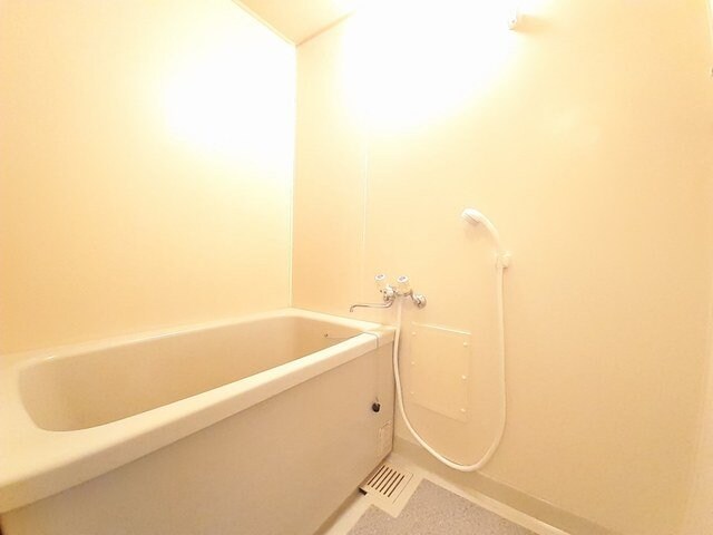 ニューシティ早川の物件内観写真