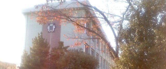 グレイスフル　Ⅱの物件外観写真