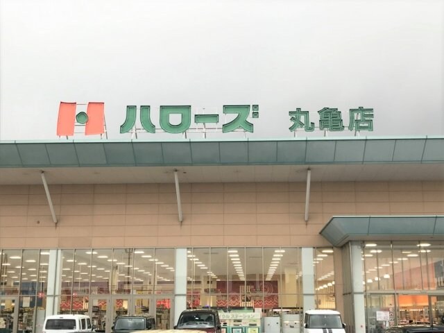 レオパレスＳｕｃｃｅｓｓの物件外観写真