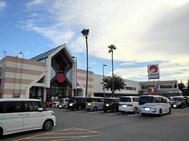 ルーベル　塩屋　Ａの物件外観写真