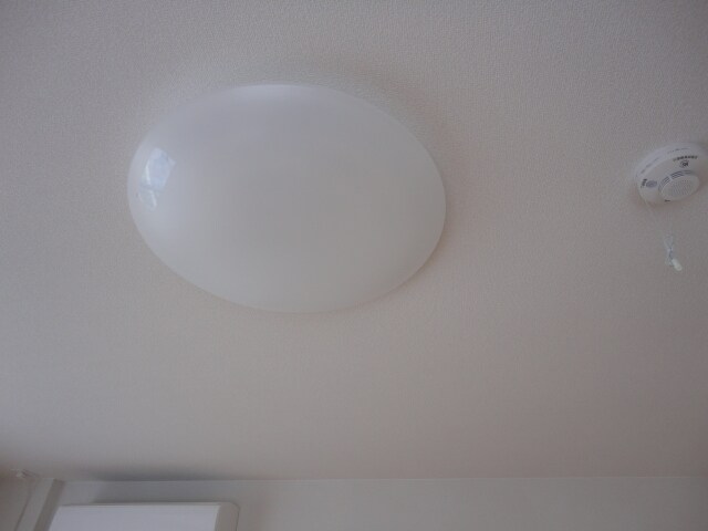 ブエナビスタの物件内観写真