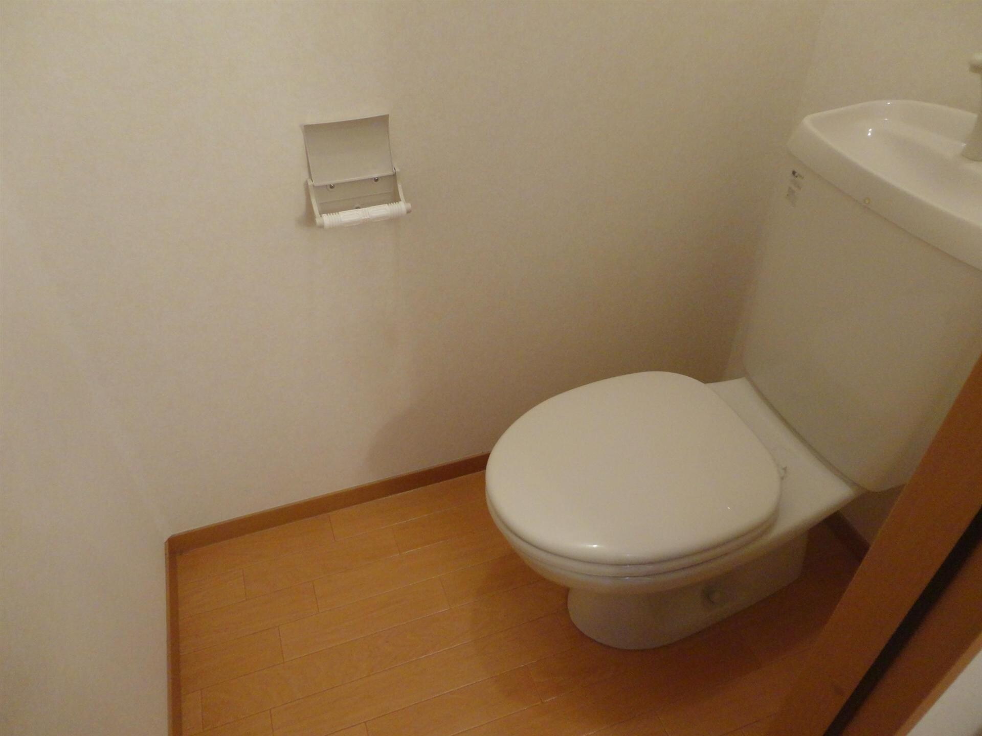 ベリィー・ブラッサムの物件内観写真