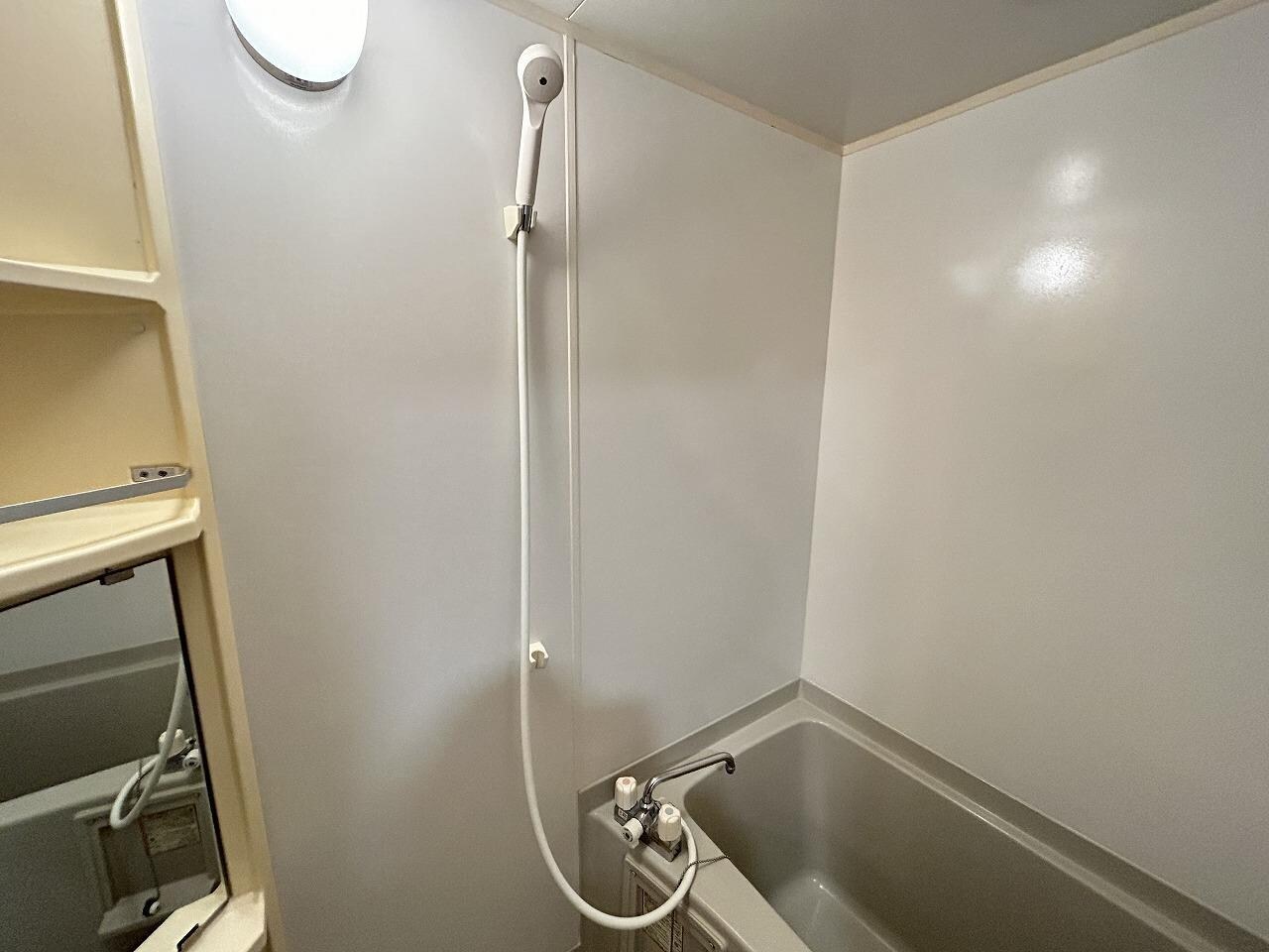 ベリィー・ブラッサムの物件内観写真