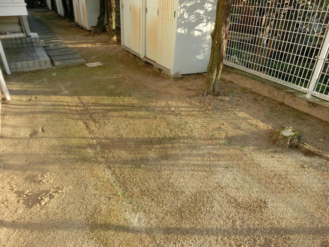 メゾントレビIの物件内観写真