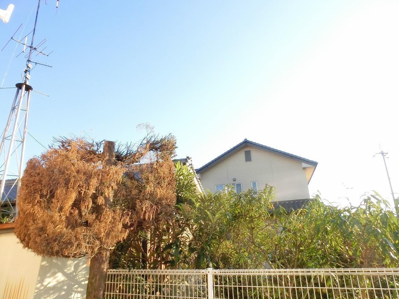 メゾントレビIの物件内観写真