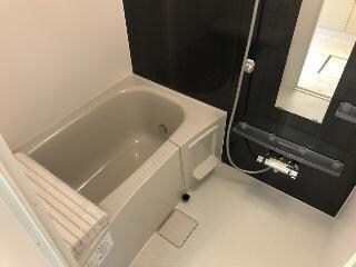 セイリング　ONEの物件内観写真