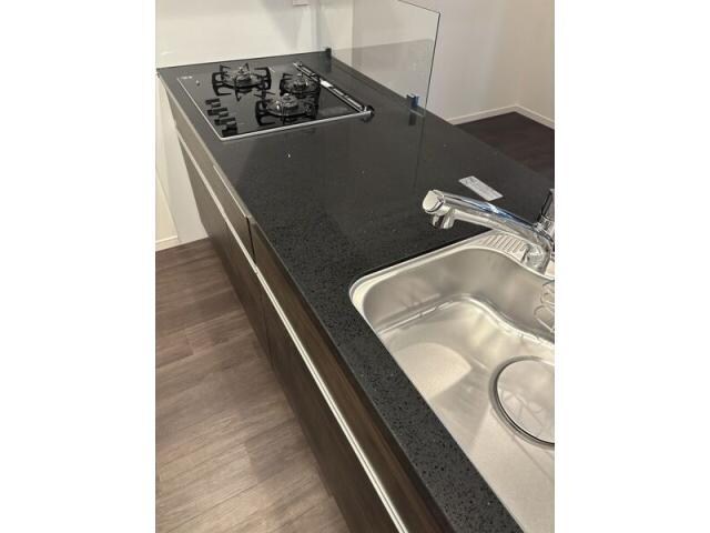 さくらHills ROKUBAN Platinum Residenceの物件内観写真