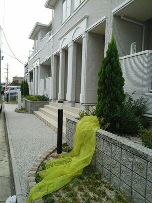 ＰＥＡＲＬ（パール）の物件内観写真