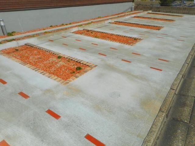 ベル　シティー　Ⅱの物件外観写真