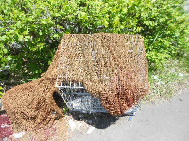 インペリアル文苑の物件内観写真