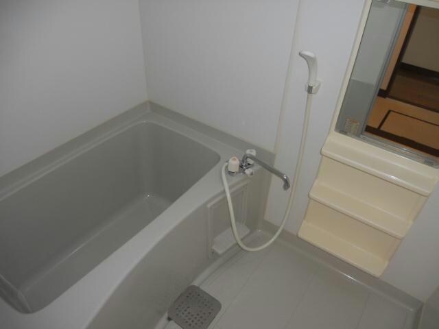 アメリカンドリームⅡの物件内観写真