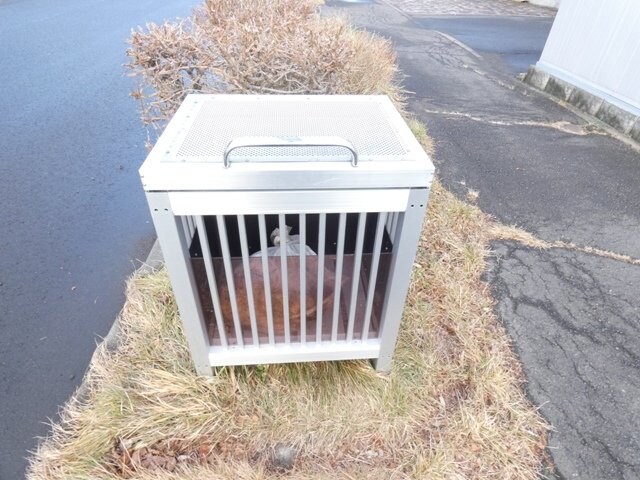 ＩＮ　ＦＵＭＩＺＯＮＯ（インフミゾノ）の物件内観写真