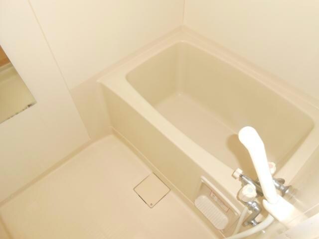 ハイセレール恵の物件内観写真