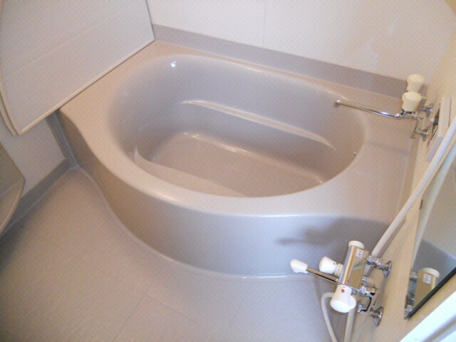 芦野タウンハウスの物件内観写真