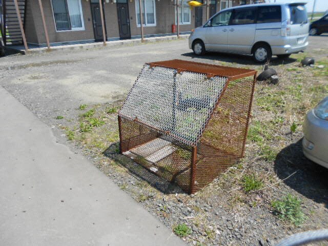 マキシムの物件内観写真