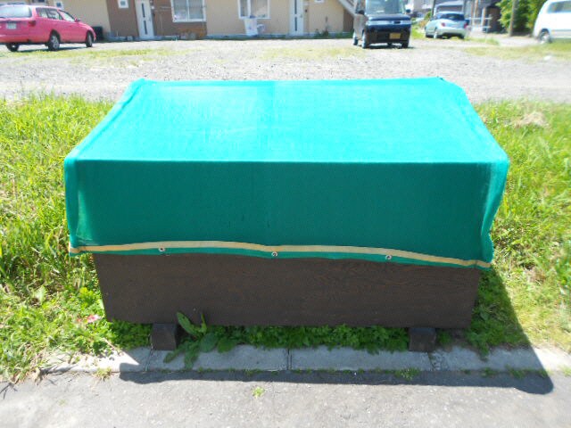 ゴリラハウスの物件内観写真