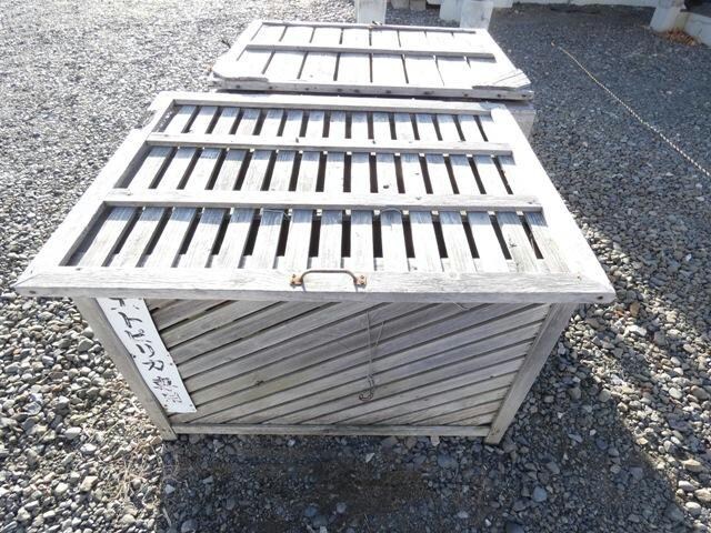 マンションエトピリカの物件内観写真