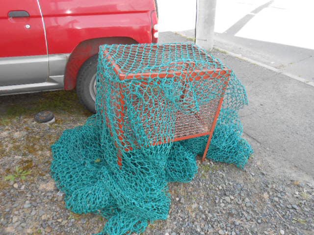 リバーサイド北都の物件内観写真