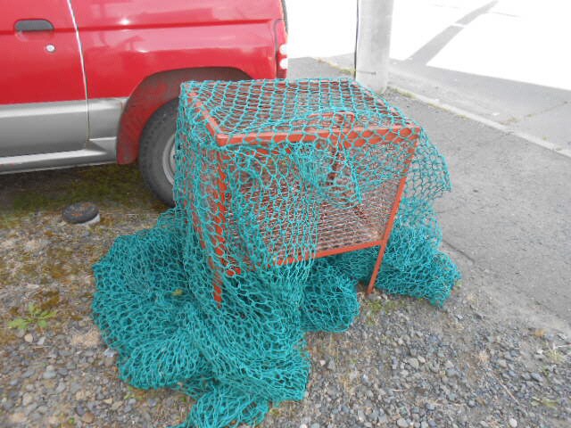 リバーサイド北都の物件内観写真