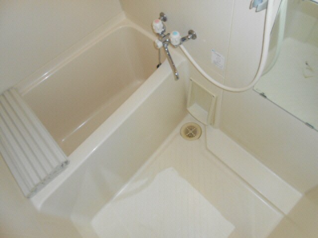 カーサビバーチェ（文苑）の物件内観写真