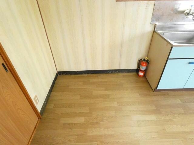 カネサマンションの物件内観写真