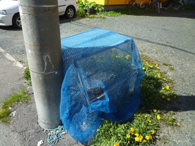 バレンタインハウスＥＡＳＴの物件外観写真